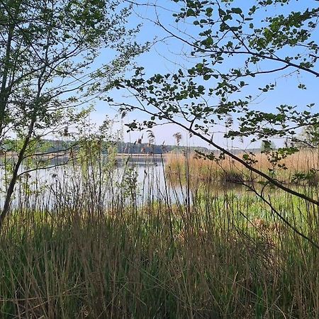 Kleine Auszeit Apartment Trebbin Bagian luar foto